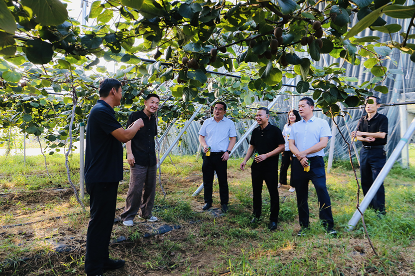 1725688682993483.jpg 改1.jpg